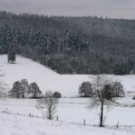 Landschaft Am Dülfershof