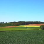 Weg durch die Felder bei Meineringhausen